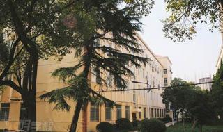 上海国际学校ALEVEL